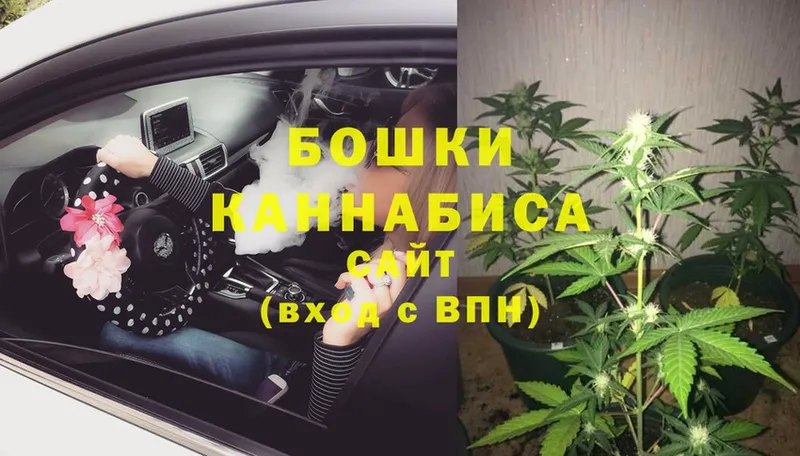 Марихуана SATIVA & INDICA  магазин    Воркута 